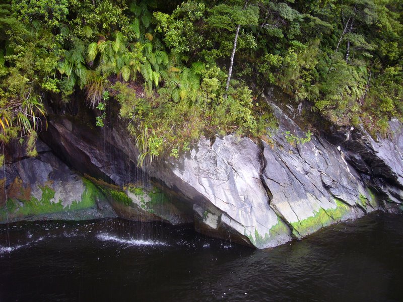 Travel - New Zealand - Milford Sounds